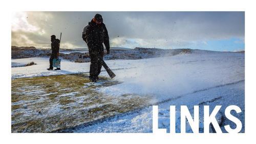 Links winter Your Course graphic.jpg