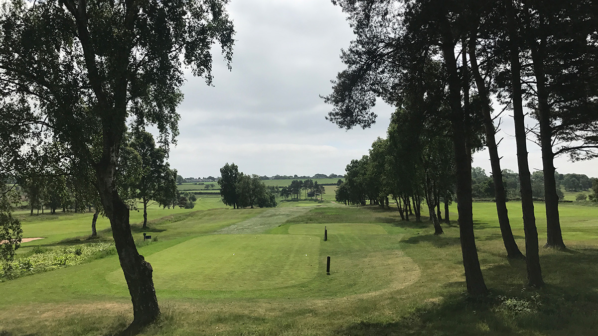 A view at Headingley prior to tree clearance taking place.jpg