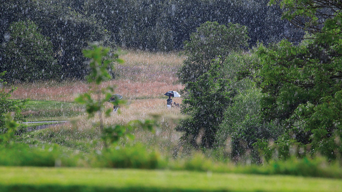 Golfer umbrella 2.jpg