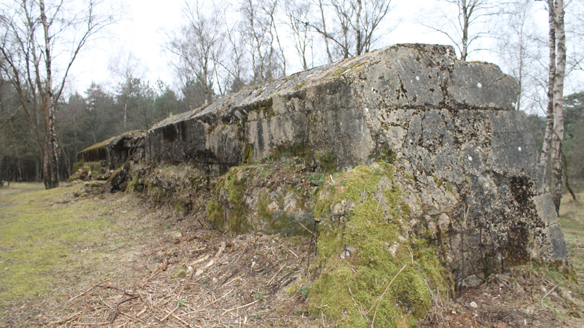 Atlantic Wall replica at Hankley Common.jpg