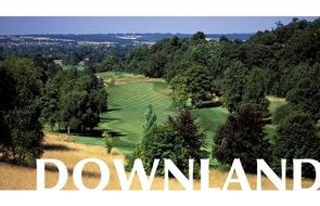 Downland summer your course graphic.jpg