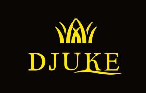 DJUKE LOGO PDF .jpg