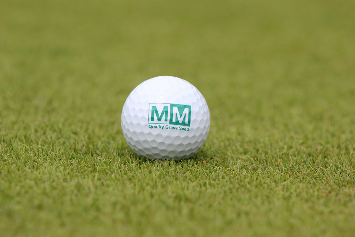 MM Seed at BTME 25.jpg