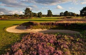 Walton Heath 4th Old 7.jpg 1