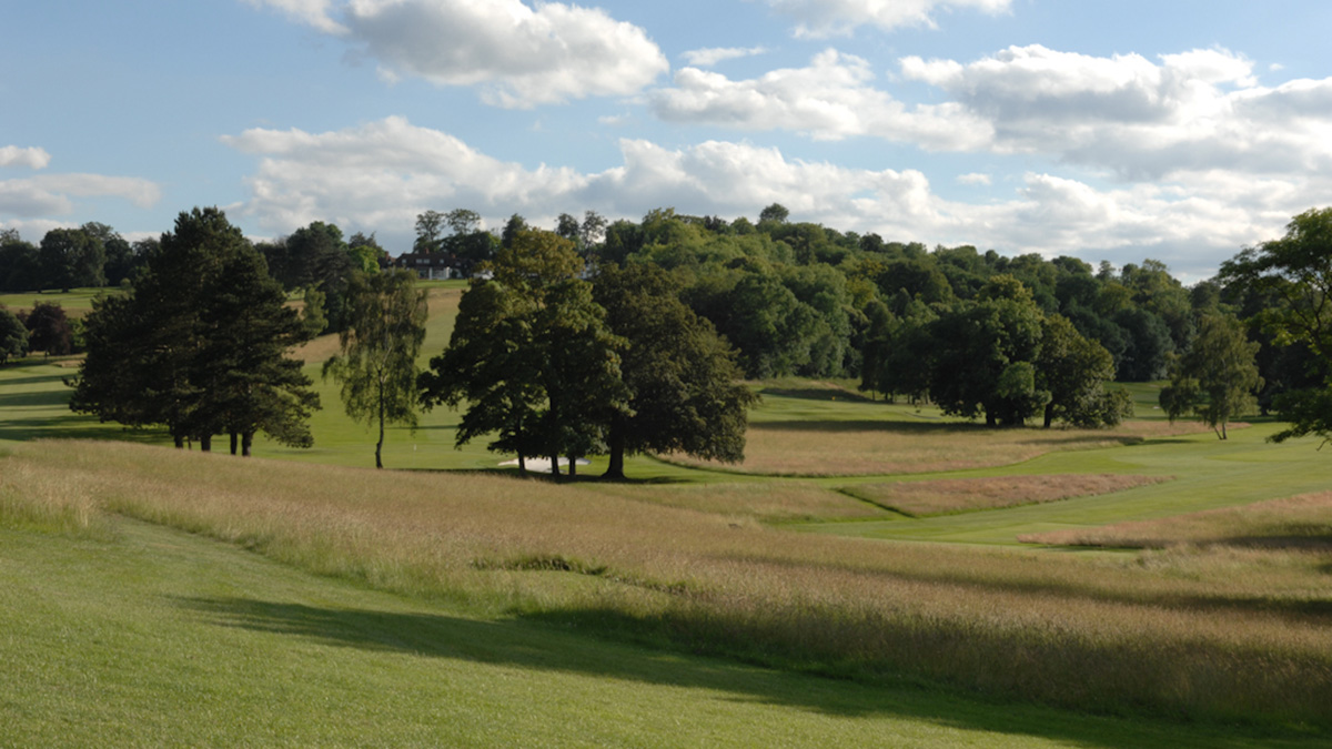 Downland - Temple 2.jpg