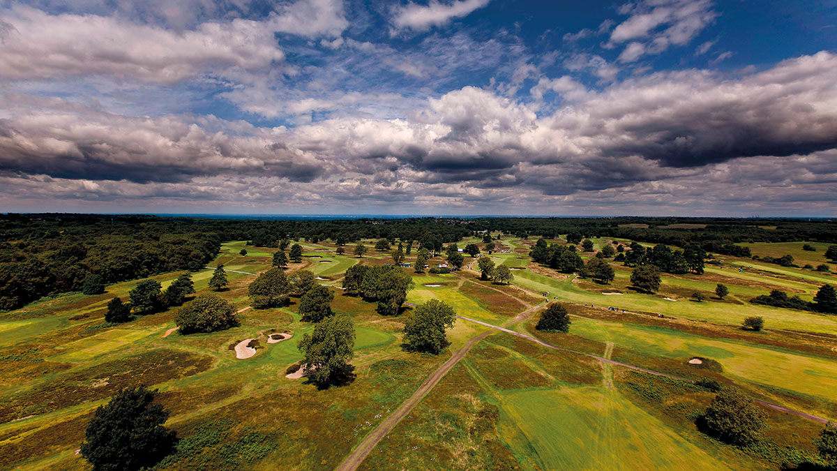 Heathland - Walton Heath 1.jpg