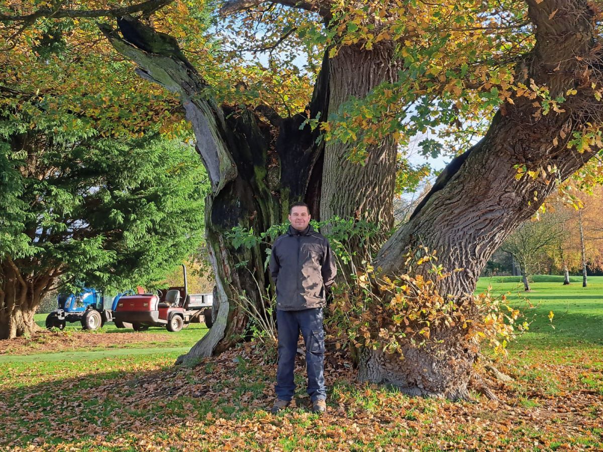 David Thompson and the Leper Oak.jpg