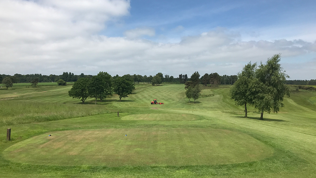 The result of tree clearance at Headingley.jpg