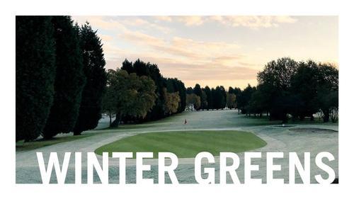 Winter greens graphic