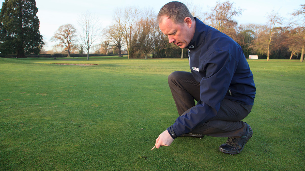 Pitch marks pic.jpg