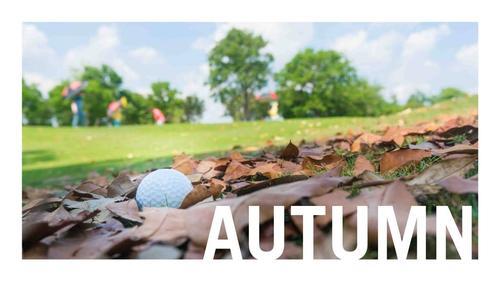 Leaves on a golf course