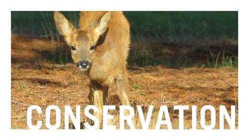 Conservation Your Course graphic.jpg