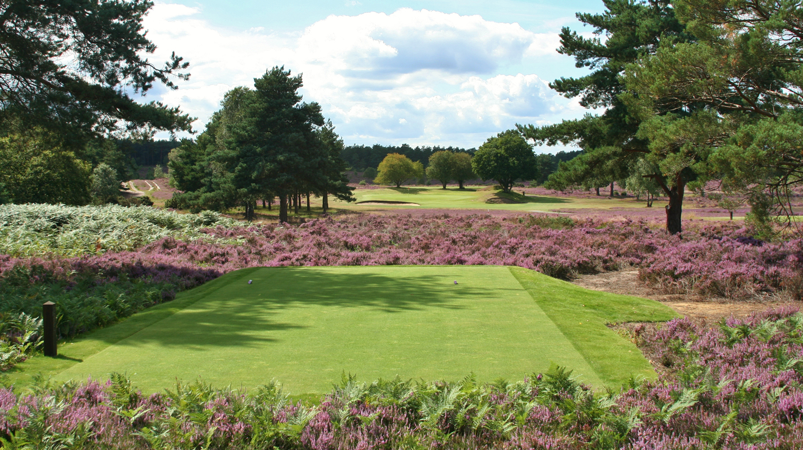 Sustainable Golf Resources | BIGGA