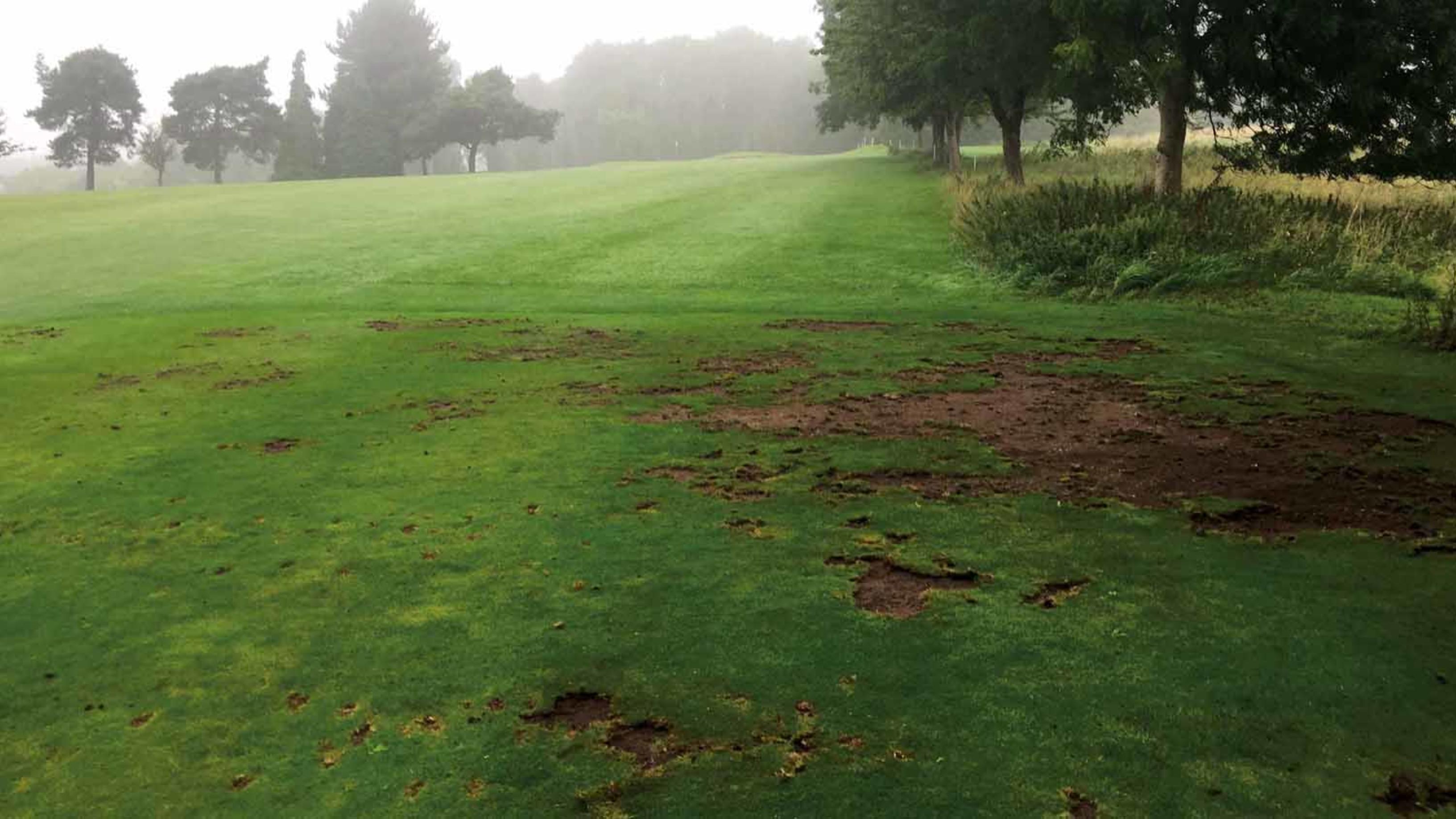 How The Removal Of Chemicals Will Alter The Way Your Course Looks Bigga